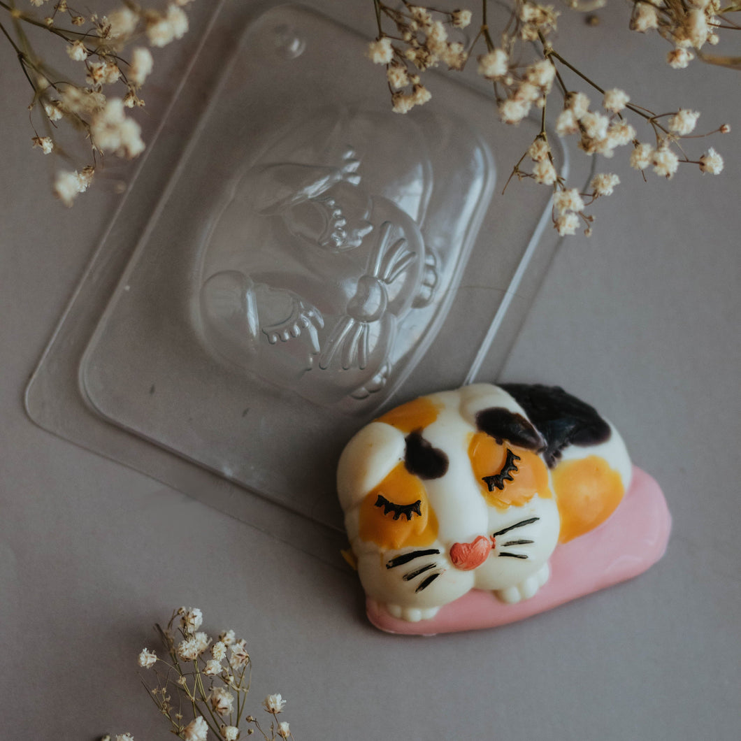 GUINEA PIG MOLD